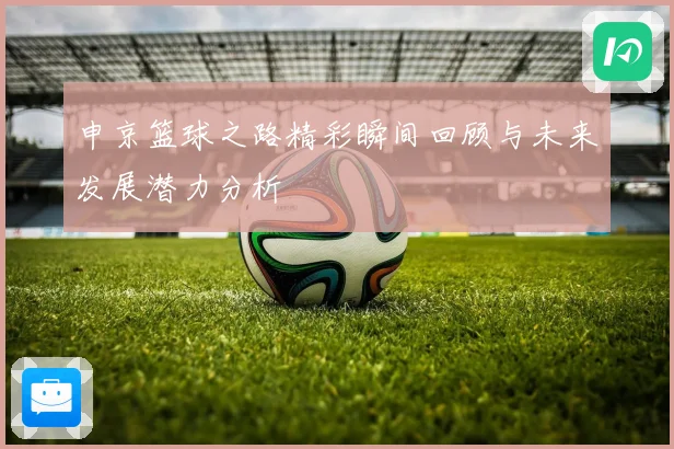 申京篮球之路精彩瞬间回顾与未来发展潜力分析