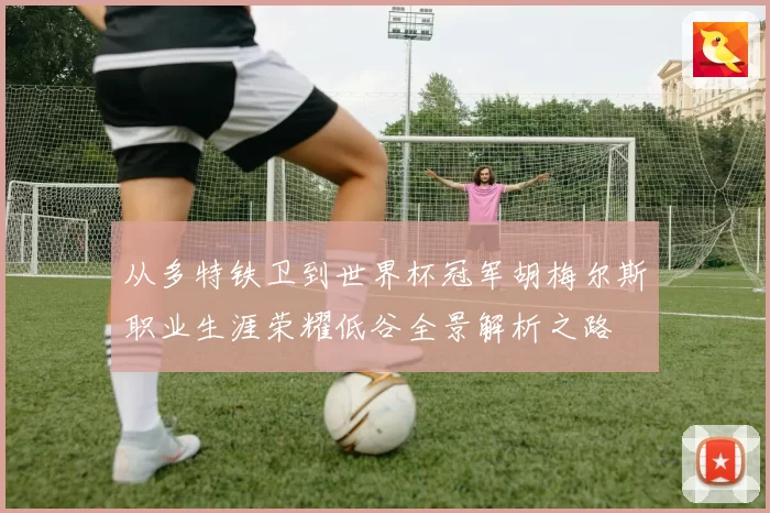 从多特铁卫到世界杯冠军胡梅尔斯职业生涯荣耀低谷全景解析之路