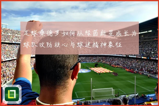 足球桑德罗如何从绿茵新星成长为球队攻防核心与球迷精神象征