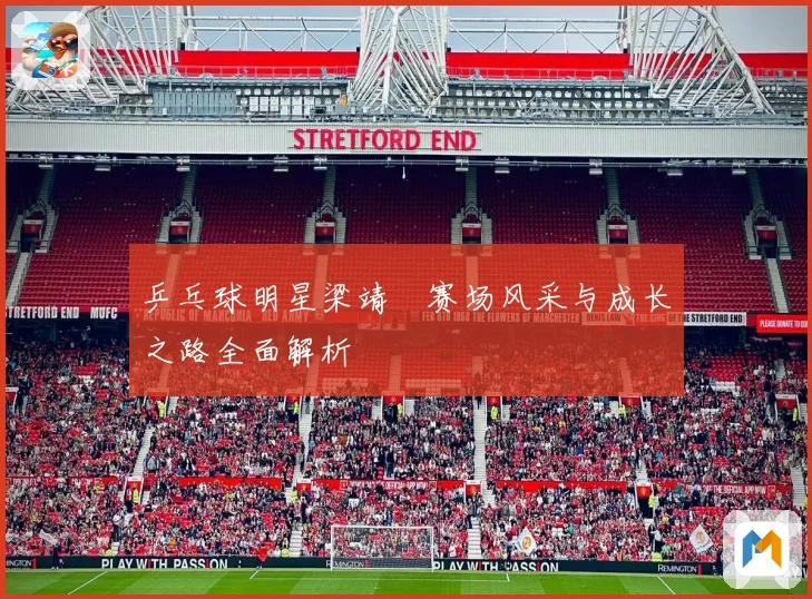 乒乓球明星梁靖崑赛场风采与成长之路全面解析