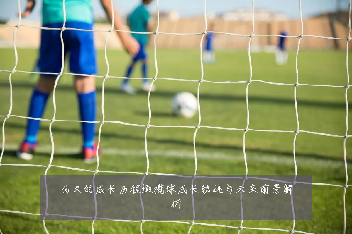 戈夫的成长历程橄榄球成长轨迹与未来前景解析
