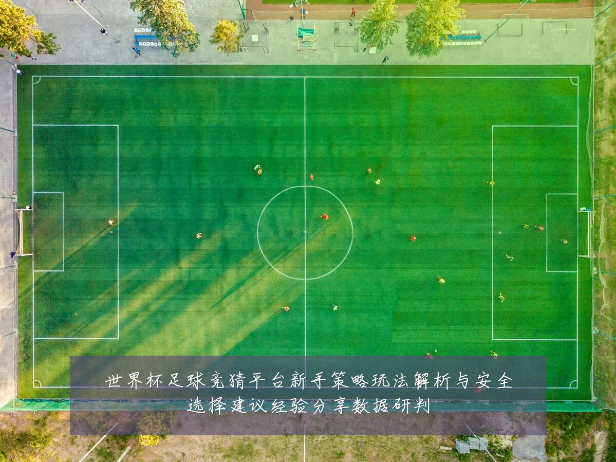 世界杯足球竞猜平台新手策略玩法解析与安全选择建议经验分享数据研判