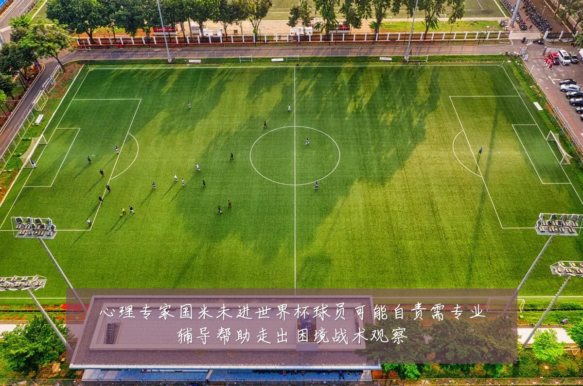 心理专家国米未进世界杯球员可能自责需专业辅导帮助走出困境战术观察
